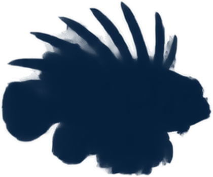 The dark outline of an undiscovered fish.