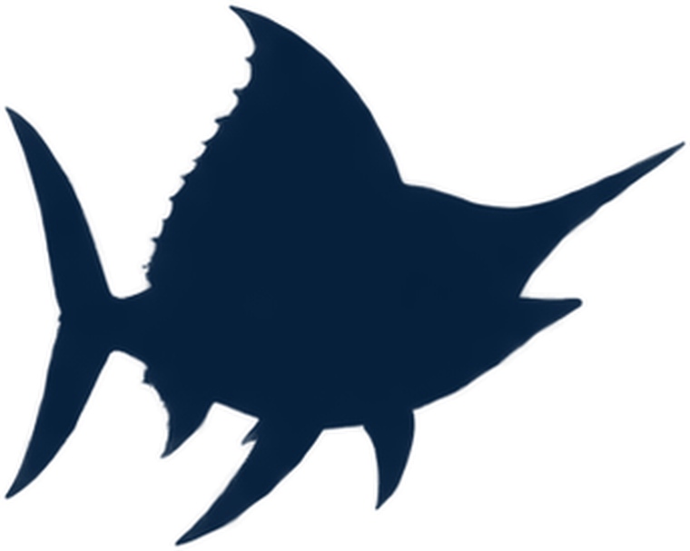 The dark outline of a long undiscovered fish.